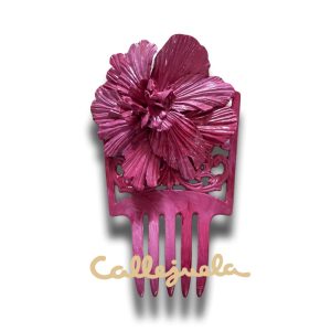 Peineta de porcelana rusa